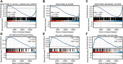 SLC2A1 is a Diagnostic Biomarker Involved in Immune Infiltration of Colorectal Cancer and Associated With m6A Modification and ceRNA